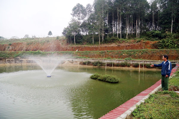 Nông dân thị trấn Nông trường Phong Hải (Bảo Thắng) làm giàu nhờ phát triển thủy sản.