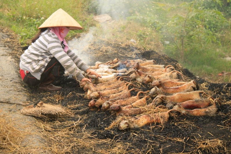 nằm mơ thấy ăn thịt mèo